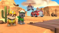 Paw Patrol on A Roll! 