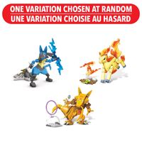 Mega Constux Pokemon Power Pack - One Variation Chosen at Random