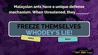 The Jackbox Party Pack 2 - Numérique