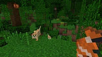 Minecraft - Numérique