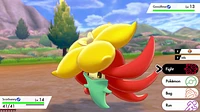 Pokémon Shield - Numérique