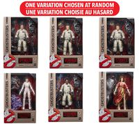 Toyfair 20: Ghostbusters Plasma Series Build a Figure – One Variation Chosen At Random 