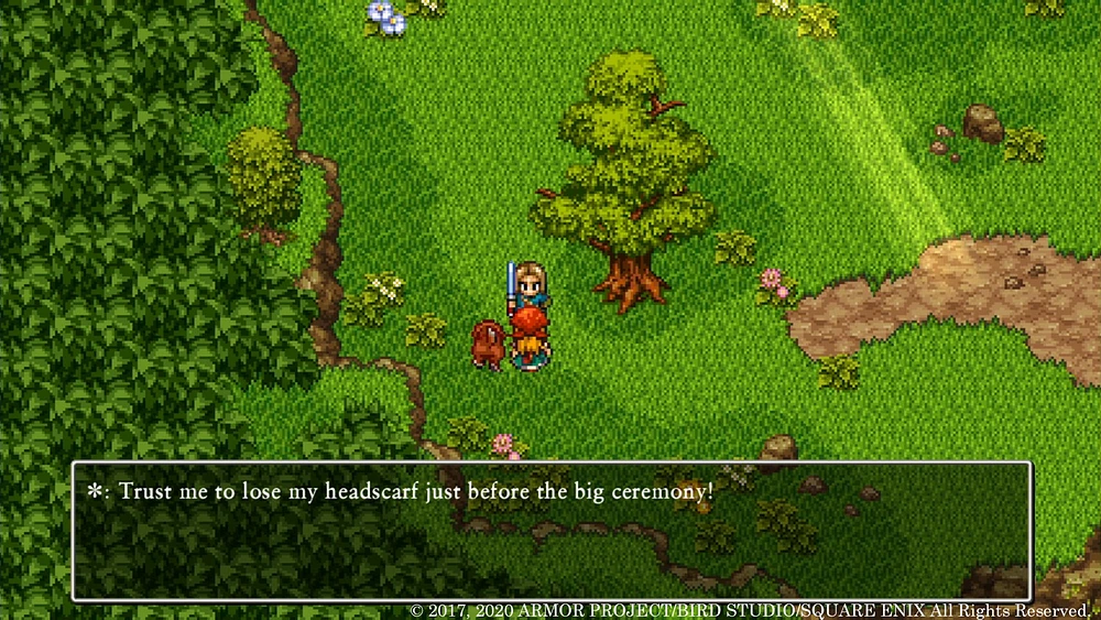 Dragon Quest XI S: Echoes of an Elusive Age Definitive Edition