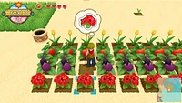 Harvest Moon One World 