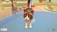 My Universe Pet Clinic Cats & Dogs  
