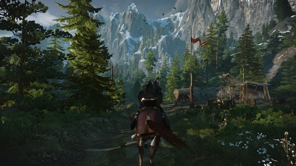 The Witcher 3: Wild Hunt  - Numérique