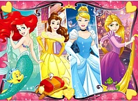Heart 60 PC Glitter Princesses 