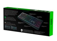 Razer Cynosa V2 Keyboard 