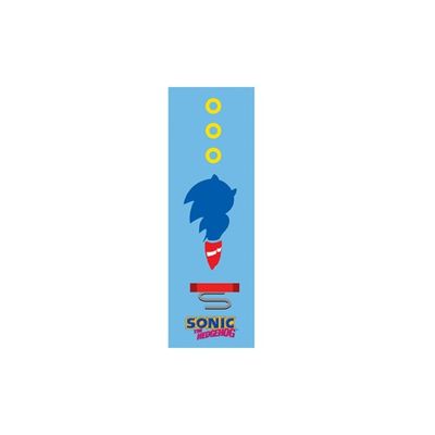 Sonic Rings 12 x 36 Canvas 