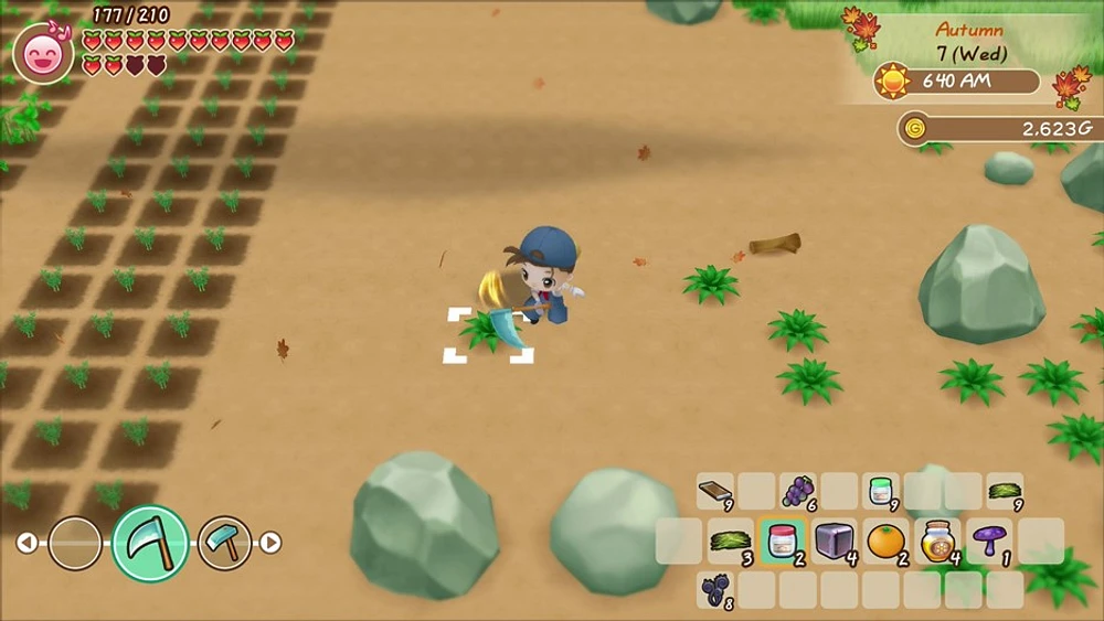 Histoire de Seasons Friends of Mineral Town