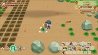 Story of Seasons Friends Mineral Town