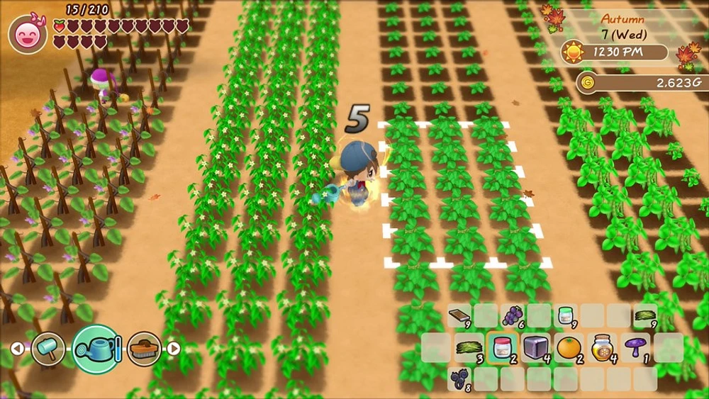 Histoire de Seasons Friends of Mineral Town