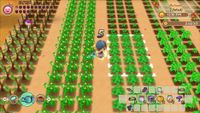 Story of Seasons Friends Mineral Town
