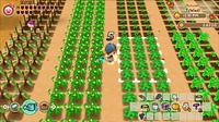 Histoire de Seasons Friends of Mineral Town