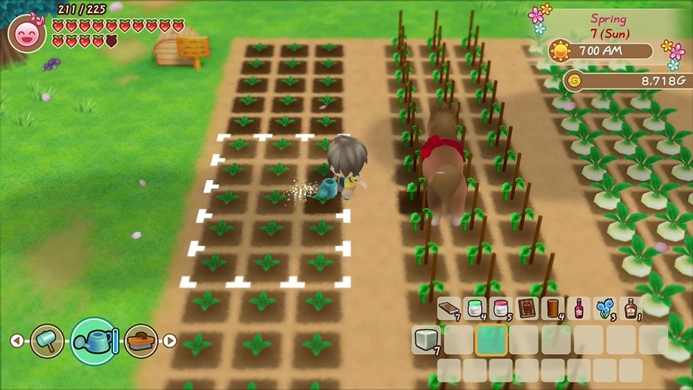 Histoire de Seasons Friends of Mineral Town