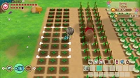 Histoire de Seasons Friends of Mineral Town