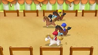Histoire de Seasons Friends of Mineral Town