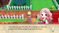 Story of Seasons Friends Mineral Town