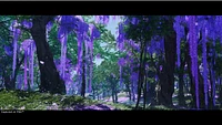 Ghost Of Tsushima Director's Cut