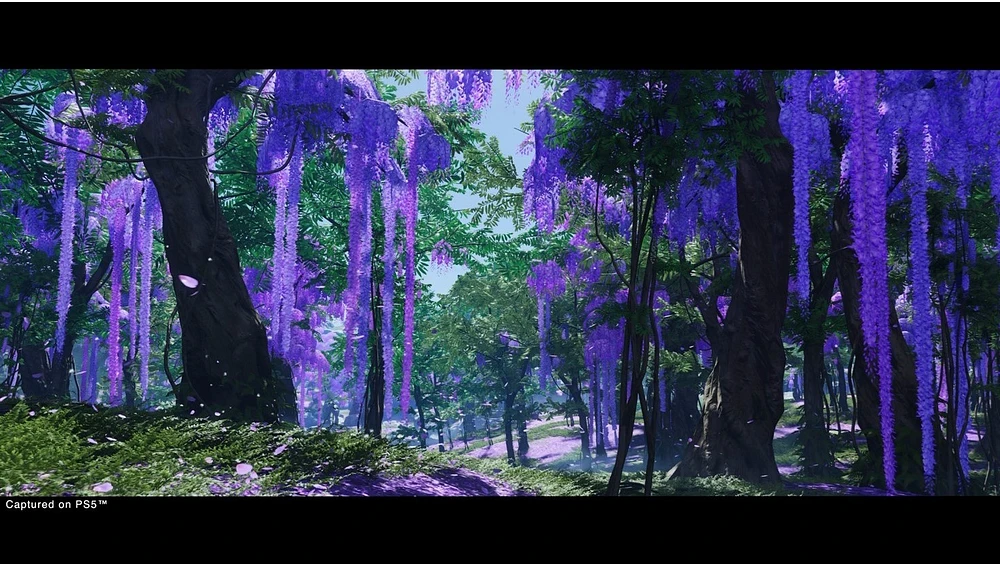 Ghost Of Tsushima Director's Cut