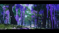 Ghost Of Tsushima Director's Cut