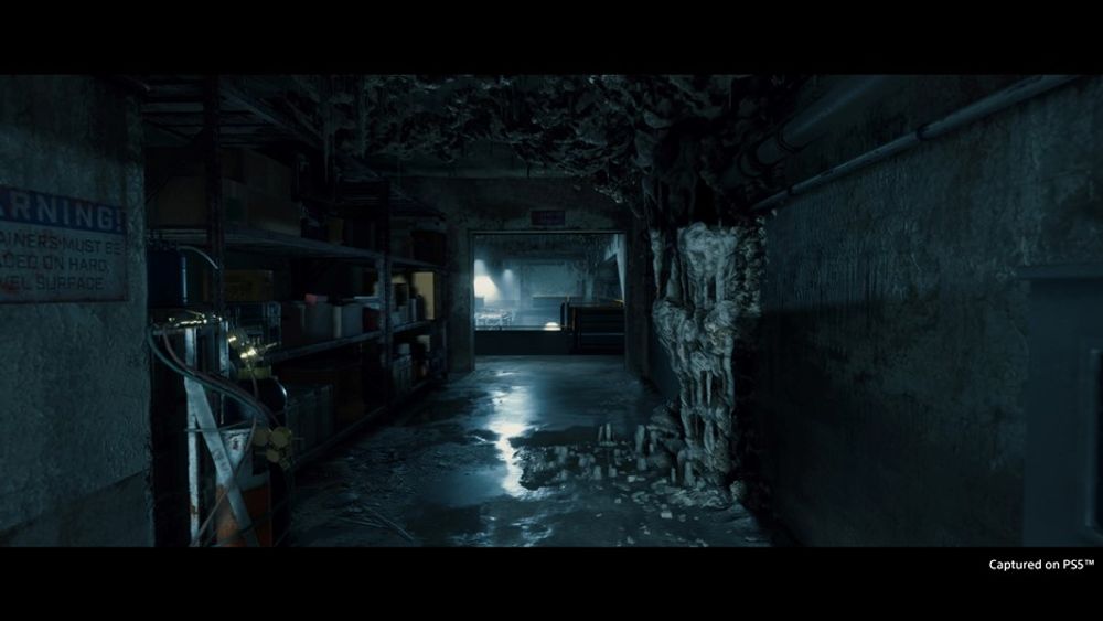 Death Stranding Director’s Cut  