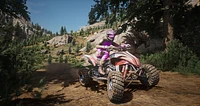 MX Vs ATV Legends  