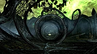The Elder Scrolls V: Skyrim Anniversary Edition