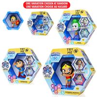 WOW! Pods DC Super Friends Assorted -One Variation Chosen At Random