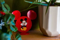 Hidden Mickeys 