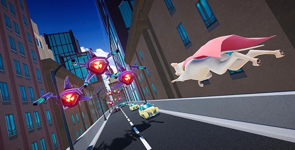 DC Super Pets NSW 