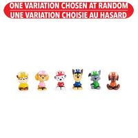 Paw Patrol Deluxe Mini Figure Big Truck Pups – One Variation Chosen at Random