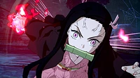 Demon Slayer - Kimetsu no Yaiba - The Hinokami Chronicles - Digital