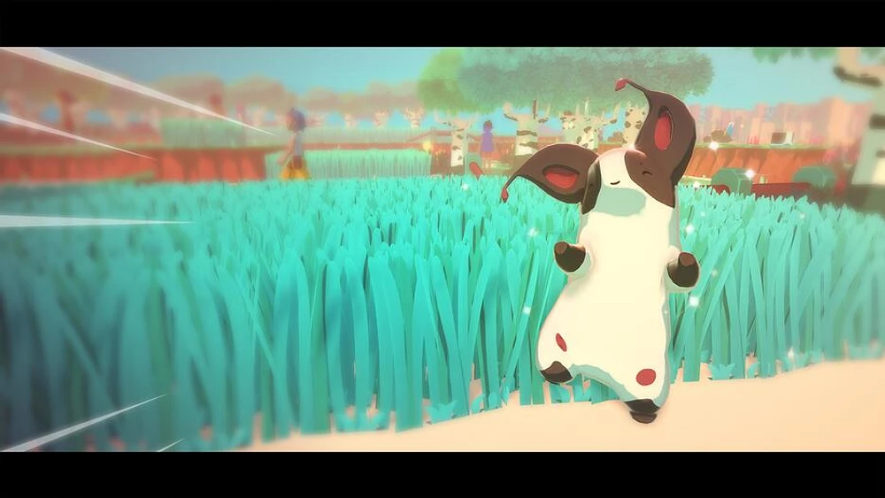 TEMTEM HG XB 