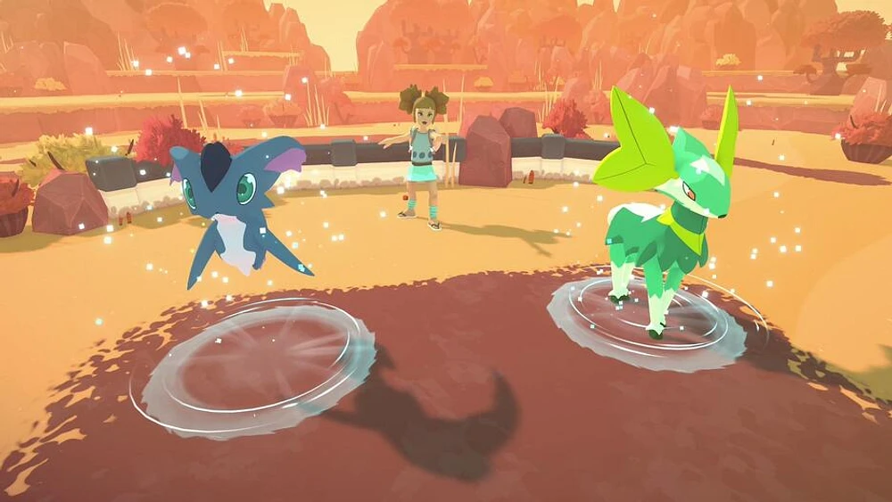 TEMTEM HG XB 
