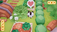 Bunny Park 