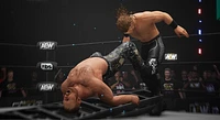 AEW: Fight Forever All Elite Wrestling