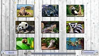 Jigsaw Fun 3-IN-1 Collection 