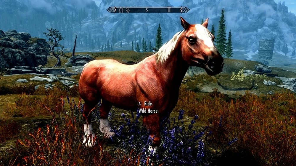 The Elder Scrolls V Skyrim Anniversary Edition Upgrade 