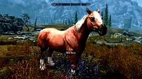 The Elder Scrolls V Skyrim Anniversary Edition Upgrade 