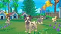 My Universe: Puppies and Kittens