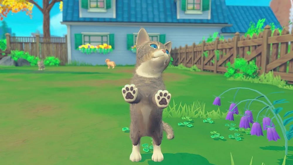 My Universe: Puppies and Kittens