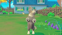 My Universe: Puppies and Kittens