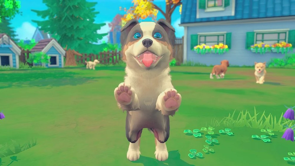 My Universe: Puppies and Kittens