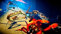 Fight Crab: Shella Awesome