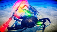 Fight Crab: Shella Awesome
