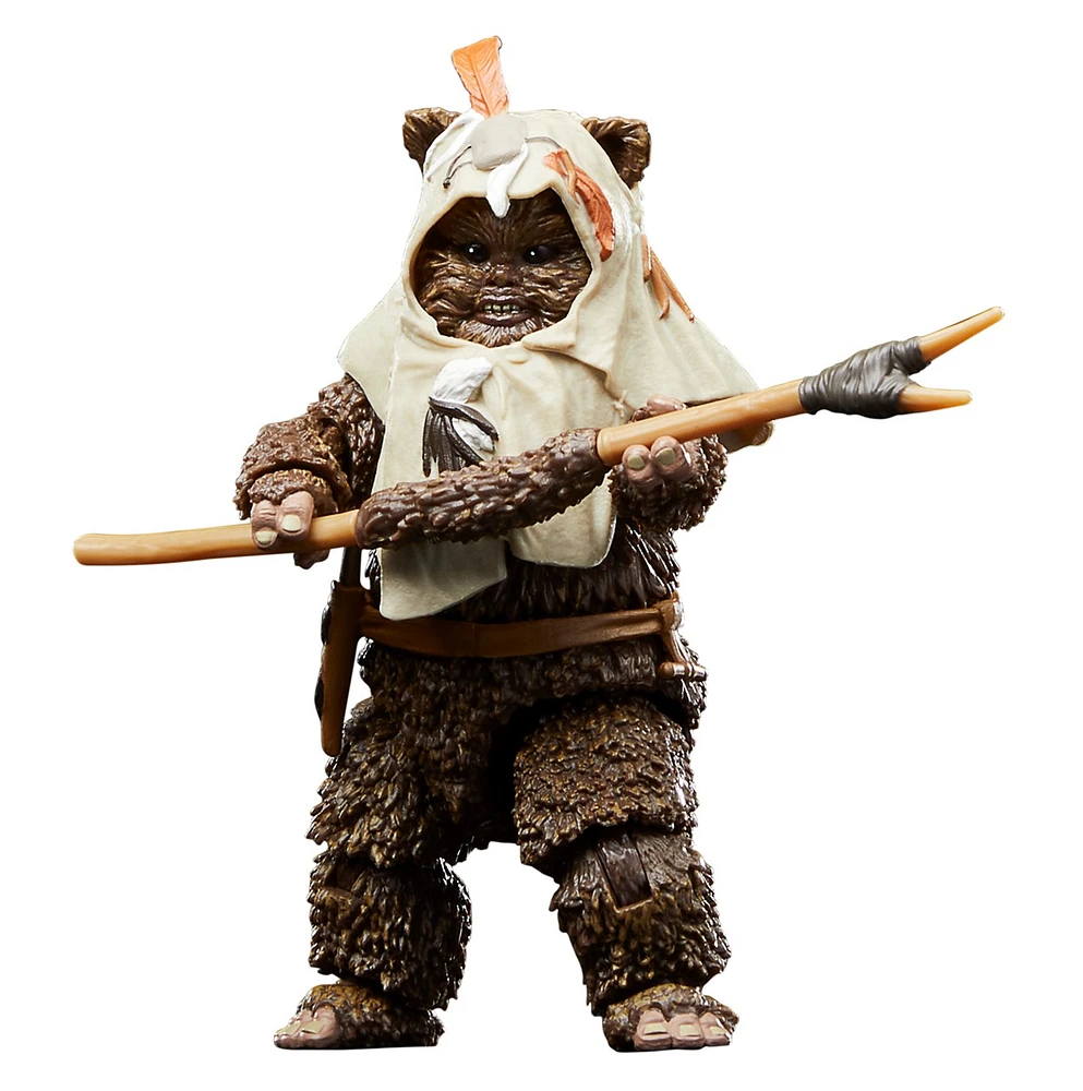Star Wars The Black Series Paploo 