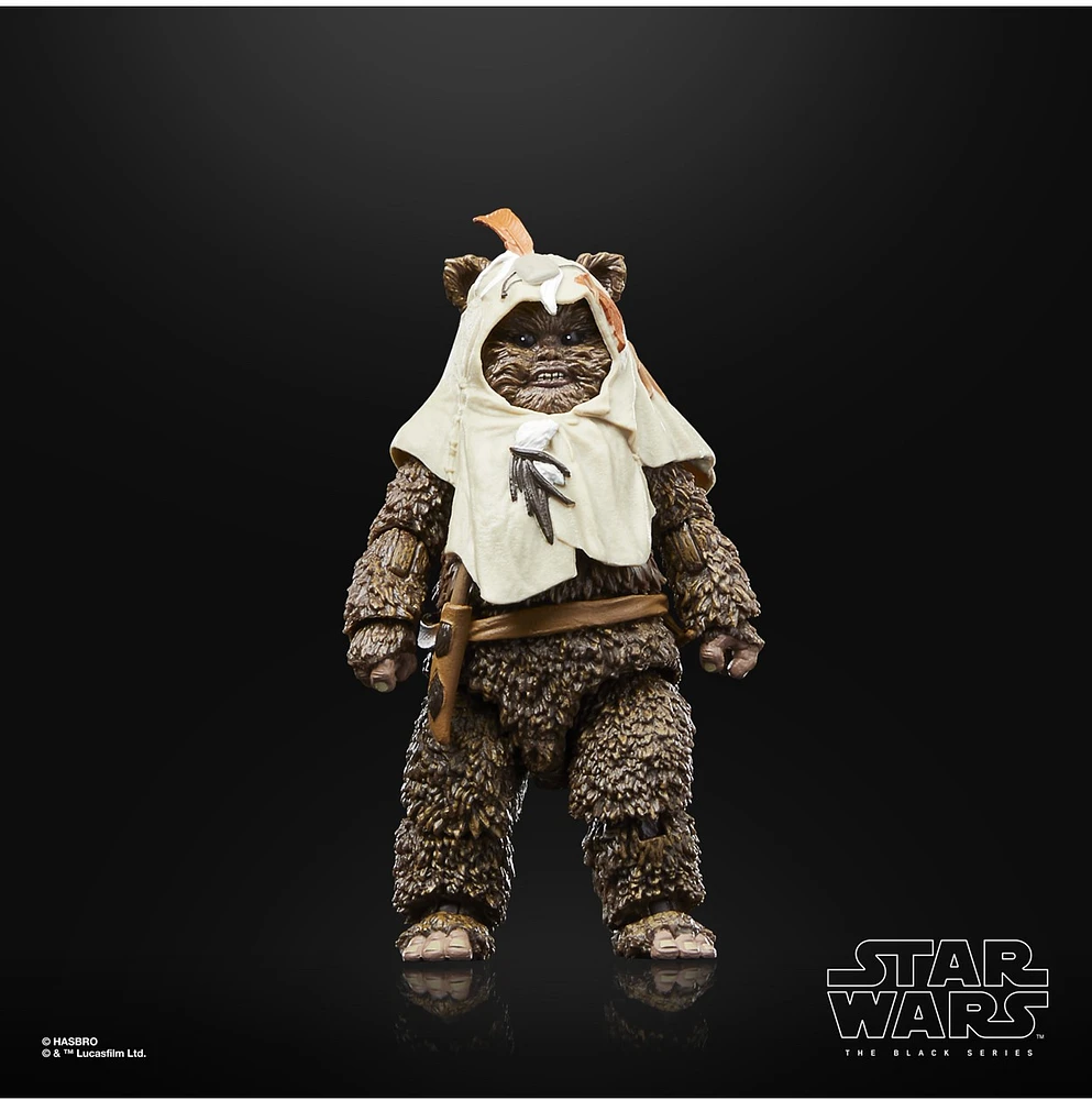Star Wars The Black Series Paploo 