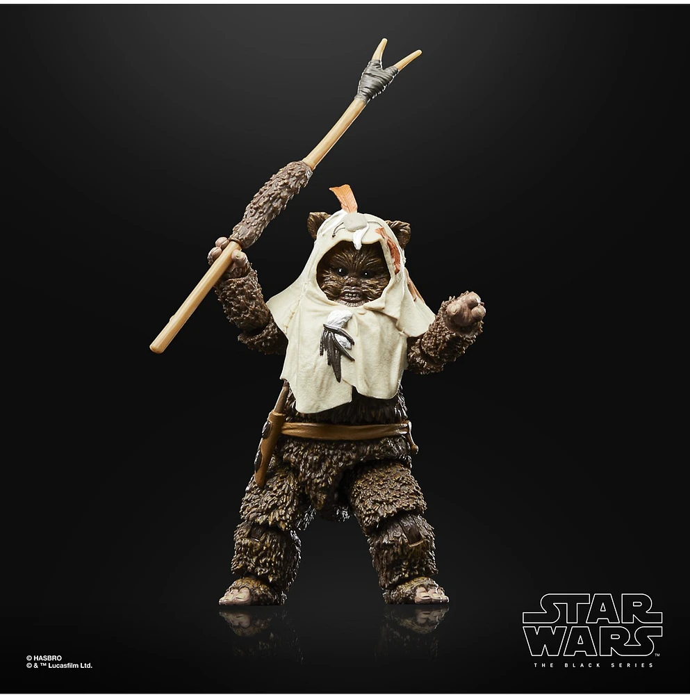 Star Wars The Black Series Paploo 