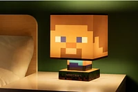 Minecraft Steve Icon Lamp 